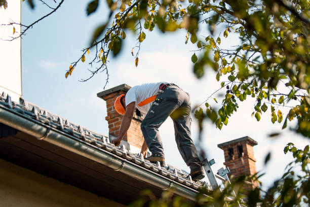 Best Roof Repair Services  in Oli, PA